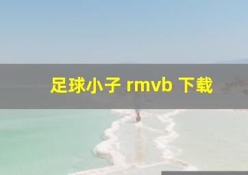 足球小子 rmvb 下载